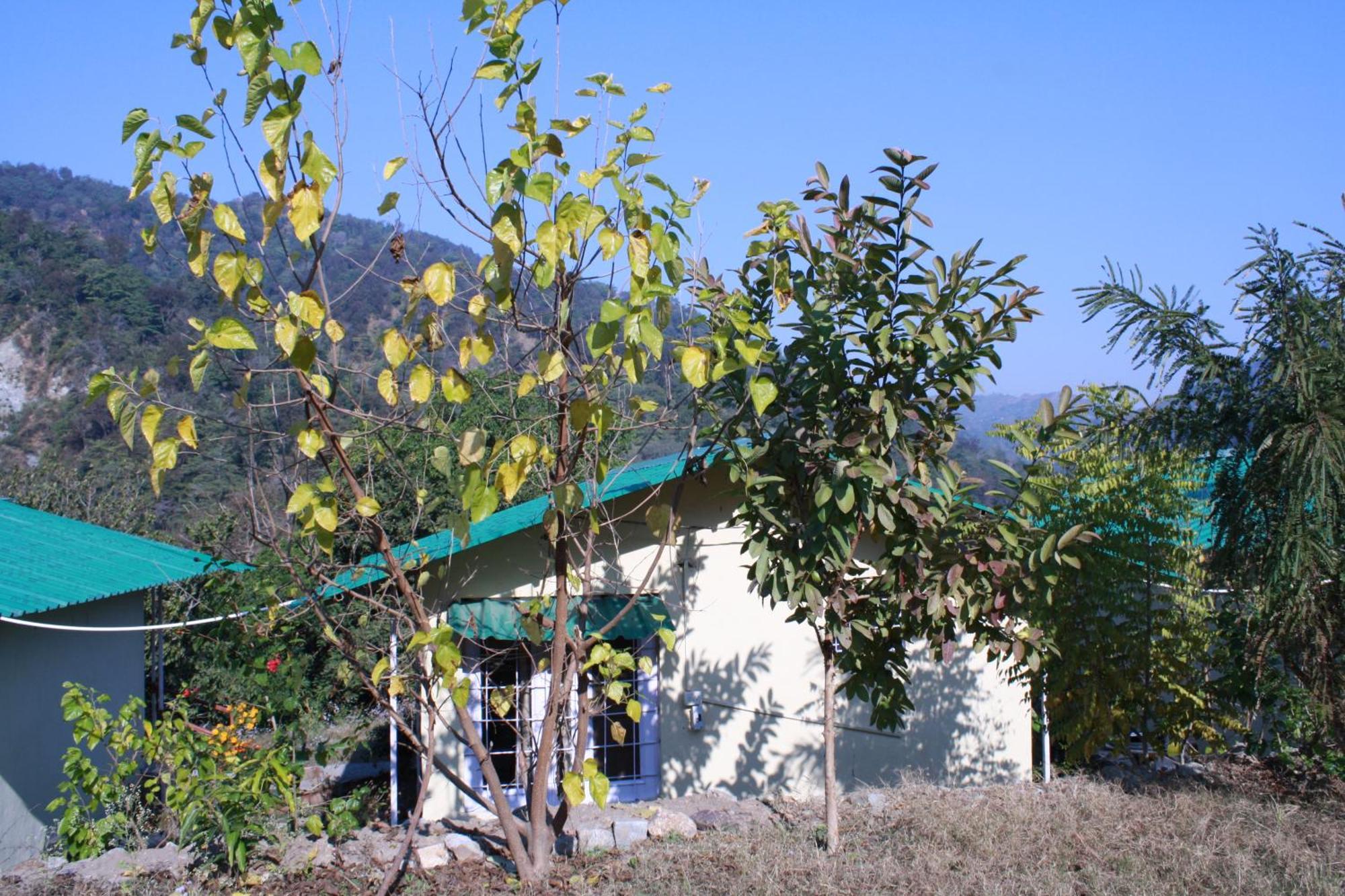 Shoolin Jungle Resort Rishikesh Exterior photo